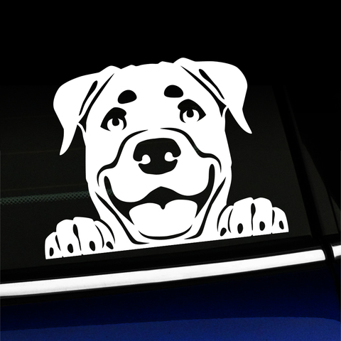 Peeking Rottweiler - Vinyl Decal Product Page