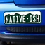 Native-Ish Large Colorado Bumper Sticker thumbnail