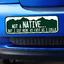Large - Colorado Not a Native But I got here as fast as I could - Bumper Sticker thumbnail