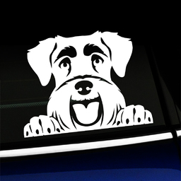 Vinilo Adhesivo Schnauzer Asomado: Calcomanía Para Coche, Ventana O Parachoques (personalizable)