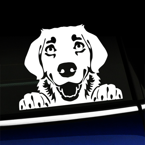 Peeking Golden Retriever - Vinyl Decal Product Page