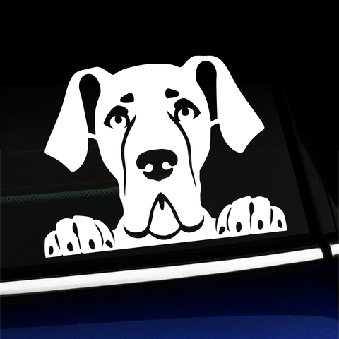 Peeking Great Dane - Vinyl Decal Product Page