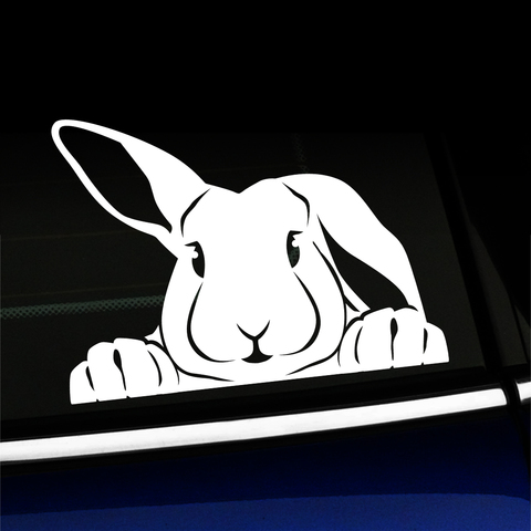 Peeking Bunny - Vinyl Decal Product Page