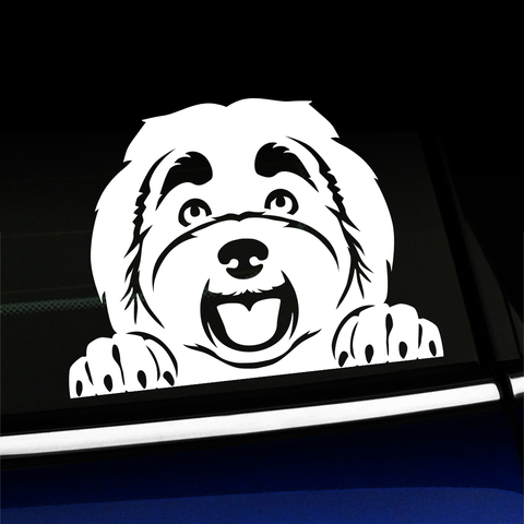 Peeking Havanese - Vinyl Decal Product Page