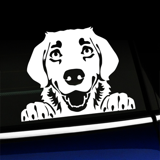 Peeking Golden Retriever - Vinyl Decal