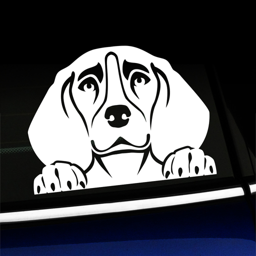 Peeking Beagle - Vinyl Decal Product Page