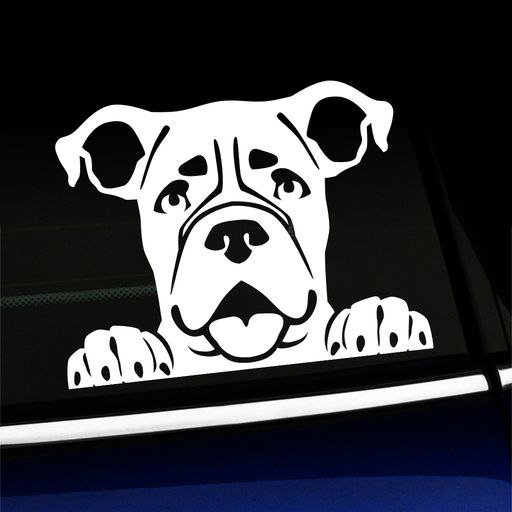 Peeking Boxer - Vinyl Decal