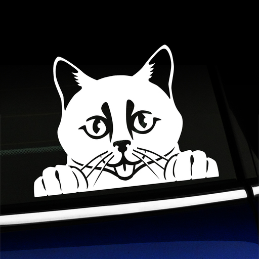 Peeking Cat - Vinyl Decal Product Page