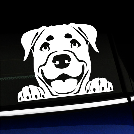 Peeking Rottweiler - Vinyl Decal