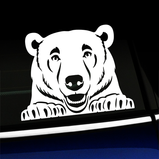 Peeking Bear decal on window