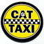 Cat Taxi - Magnetic Grill Badge for MINI Cooper thumbnail