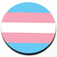 Trans Flag Badge 3D thumbnail