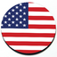 US Flag - Grill Badge for MINI Cooper thumbnail