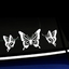 Butterfly decal on a car window thumbnail