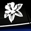 Columbine Vinyl Decal thumbnail