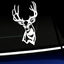 Mule Deer Buck Decal thumbnail