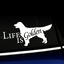 Life is Golden - Decal thumbnail