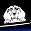 Peeking Beagle - Vinyl Decal thumbnail