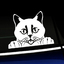 Peeking Cat - Vinyl Decal thumbnail