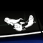 Beluga Whales - Vinyl Decal thumbnail