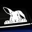Peeking Bunny - Vinyl Decal thumbnail