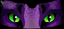 Cat Eyeshade Example Cat Eyeshade Example thumbnail