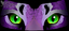 Cat Eyeshade Example Cat Eyeshade Example thumbnail