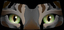 Cat Eyeshade Example Cat Eyeshade Example thumbnail