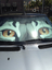 Cat Eyeshade Example Cat Eyeshade Example thumbnail