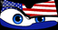 US Flag Eyeshade Example thumbnail