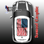 US Flag Sunroof Graphic for MINI Cooper thumbnail