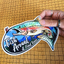 Fish Around & Find Trout Sticker being held and showing how it's  cut out. thumbnail