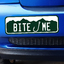 Colorado Bite Me - Bumper Sticker thumbnail
